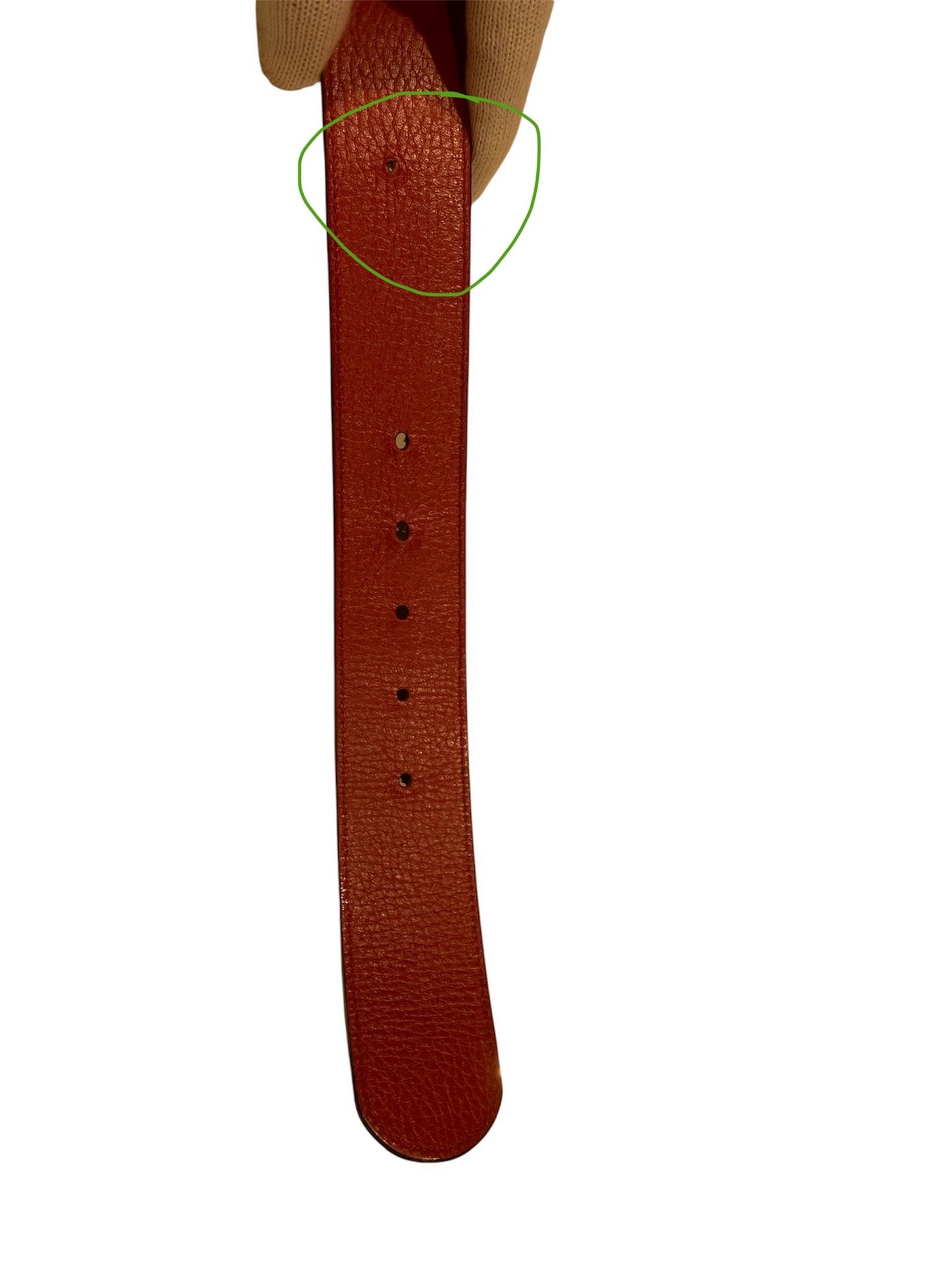 Cintura Gucci