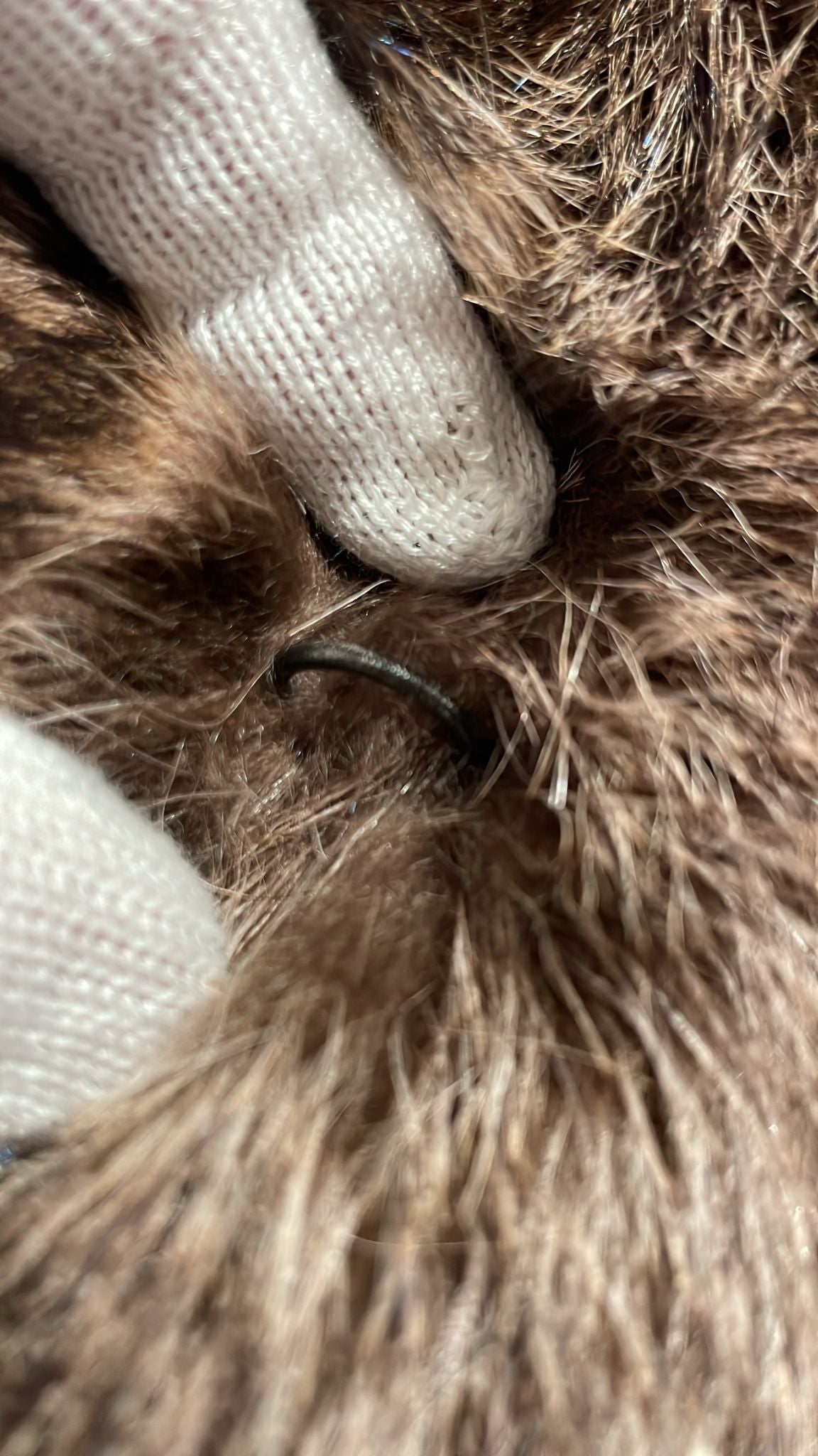 Pelliccia in marmotta canadese